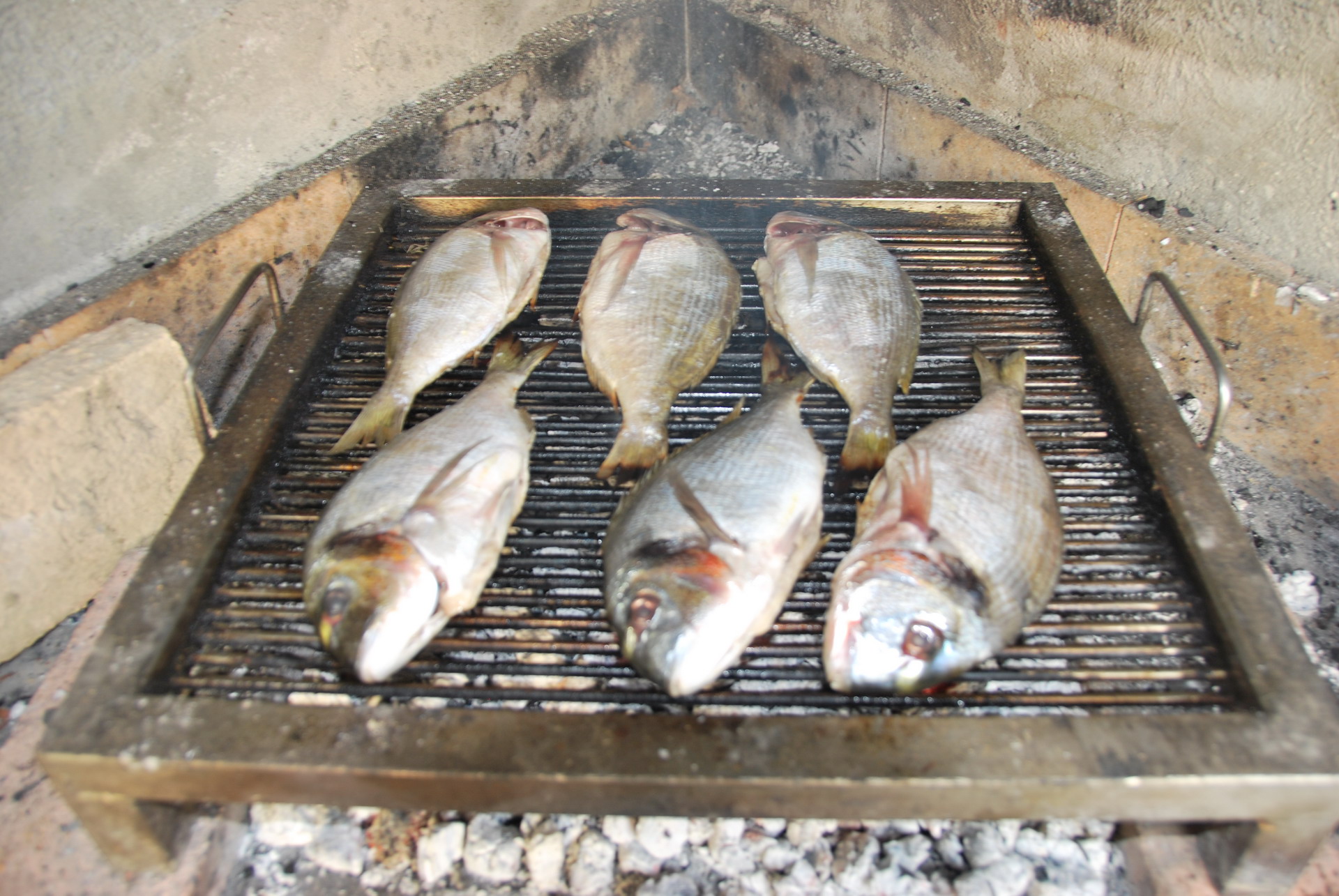 Apartmajska hiša Žerovnik