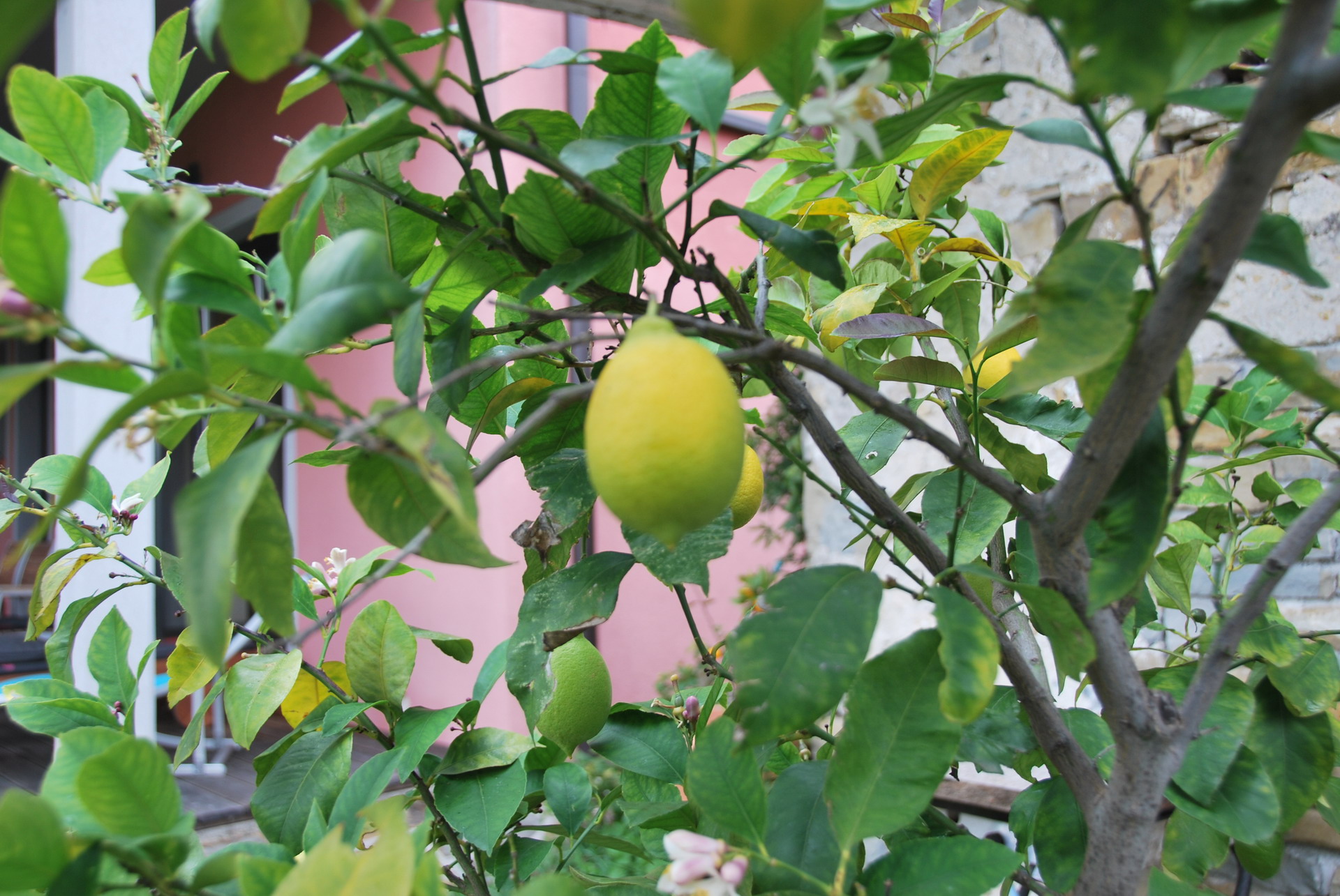 Apartmajska hiša Žerovnik